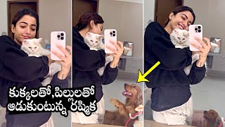 Mxtube.net :: Rashmika mandanna cum Mp4 3GP Video & Mp3 Download ...