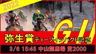 重賞予想 2022年3月6日弥生賞 【過去データ＋推奨馬・対抗馬紹介動画】