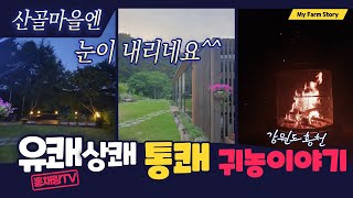 함박눈이 내립니다. 강원도 홍천 해발700고지 고랭지 홍천산채농원에는 펄펄 함박눈이 내리고 있습니다.