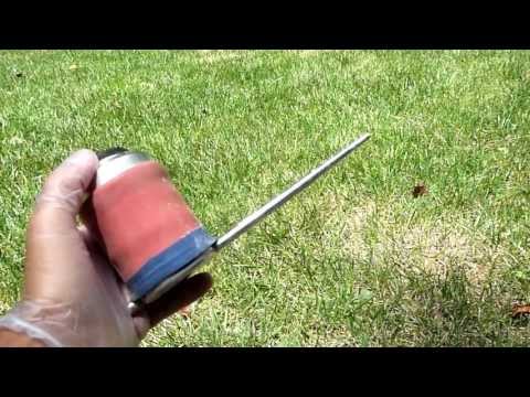 How to treat for Cicada Killer Wasps How to treat for Cicada Killer Wasps
