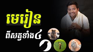 គតិអប់រំពីសត្វទាំងបូន | wisdom from four animals | នឹម ឈុន្នី