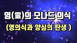 영의 모나드 의식 (영의식과 양심의 탄생 )