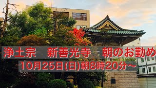 2020/10/25 浄土宗 新善光寺 朝のおつとめ