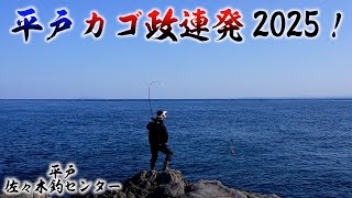 【爆釣】初釣り2025！平戸カゴ政最前線！地元漁師も驚く連発劇に一同驚愕…