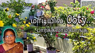 Chennai big terrace garden tour in Tamil | மாடித்தோட்டம் டூர் #gardening #terracegarden #garden