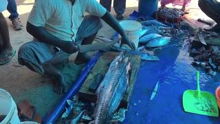 Fish cutting  in Kollam, Kerala