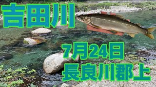 【鮎釣り】　長良川郡上　吉田川で釣ってきた