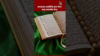 জামায়াতের রাজনীতিই মূলত টিকে আছে গালাগালির উপর। HABtv 2025