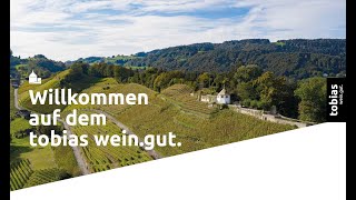 Vorstellung tobias wein.gut.