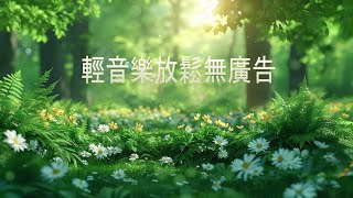 PIANO MUSIC🎵 早上最適合聽的輕音樂 🎵 美妙的音樂 🎵 純鋼琴輕音樂 🎵 轻松的钢琴音乐 🎵 放鬆音樂