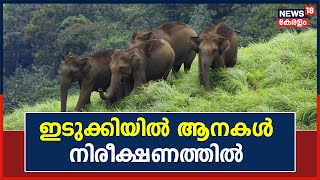 Wild Animals Attack| പ്രശ്നക്കാരായ ആനകളെ നിരീക്ഷിക്കും;Dr. Arun Zachariah ഇന്ന് Idukkiയിൽ