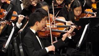 The Idylls of Pegasus by Richard Meyer, THS Freshman Orchestra, 12-12-2018