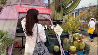 【vlog】南青山solso park/カフェ/観葉植物を買う