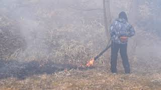 2023年の軽井沢タリアセンの火入れ：Controlled burning in Japan @ Karuizawa Taliesin, Nagano Prefecture