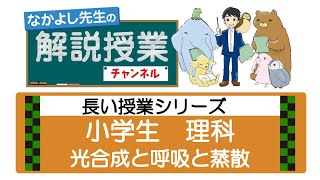 11長い授業シリーズ☆光合成と呼吸と蒸散（小学理科）