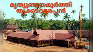 തൃക്കടവൂർ ശ്രീ മഹാദേവ ക്ഷേത്രം @ കൊല്ലം # Thrikkadavoor Sree Mahadevar Temple @ Kollam.