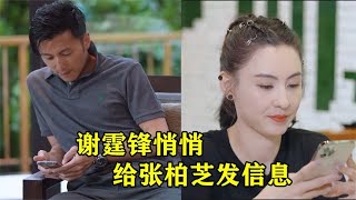 谢霆锋悄悄给张柏芝发信息，张柏芝随后回应一句，网友：期待复婚