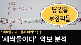 피아노반주법 ] '새싹들이다' 함께 배워요 (1) / 당김음 / 부점리듬 /음악이론