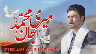 Meri Jan Muhammad SAW | New Naat by Syed Jan Ali Shah Rizvi | Naat e Rasool 2024 | #newnaat #madina