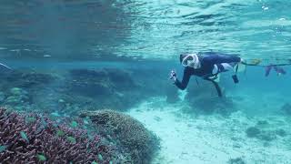 宮古島 伊良部島 シュノーケルツアー