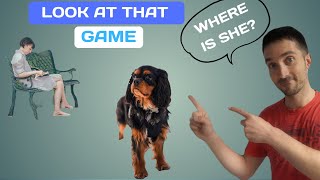 The Look At That Game For Reactive Dogs