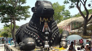 The Worlds biggest Bull - Nandi Tempel - Hindu Tempel HD