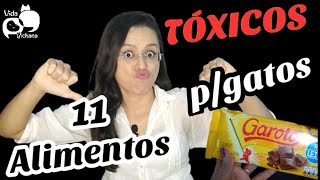 11 Alimentos Tóxicos Para Gatos. Cuidado! ❌