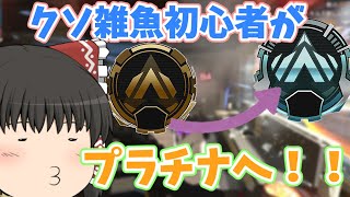 【Apex】クソ雑魚初心者でもソロランクでプラチナに上がって見せる！！【ApexLegends/ゆっくり実況】