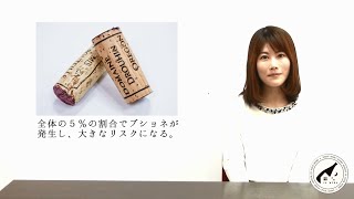 色々なワインの栓　│　ワイン定期購入サービス『家ワイン』