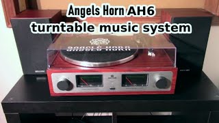 Angels Horn AH6 turntable - meets the Quant Asylum audio analyzer