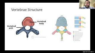 Neuroanatomy w/ Dr. Najjar 7/19