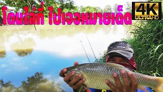 ตรงนี้ฉันตกประจำ! [EP-38] ผจญสืบหาหมายใหม่ (4K) Right here, I regularly fish.