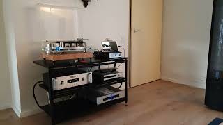 Audio Research, PS Audio, Auralic, Martin Logan Vantage