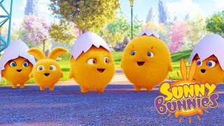 Videos For Kids | SUNNY BUNNIES - BABY BUNNIES | Funny Videos For Kids