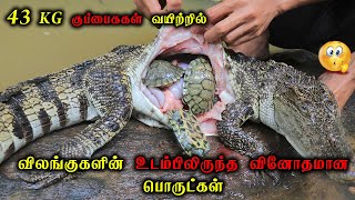 விலங்கு வயிற்றில் கிடைத்த 9 வினோத பொருட்கள் | Weird Things Caught Inside Animals  Body | Waste Paper