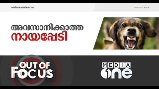 അവസാനിക്കാത്ത നായപ്പേടി | Out Of Focus | Stray Dogs Attacks In Kerala