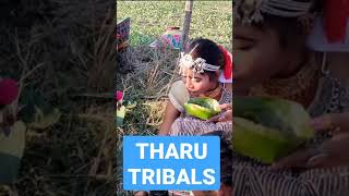 THARU TRIBALS