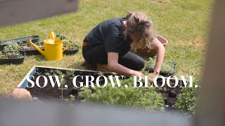 Secrets to Growing Flowers from Seed for a Blooming Garden I Silent Vlog