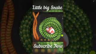 Littlebigsnake.io 🐍 | Funny Epic Moments Little Big Snake Gameplay 💪 #ultra2gaming #snake #snakeio