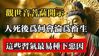 觀世音菩薩開示：人死後為何大多淪為畜生？這些習氣最易種下惡因。#佛教 #佛法 #佛教玄學 #佛教智慧 #佛學知識 #佛學智慧 #修心修行 #佛教文化 #禪悟人生 #傳統文化