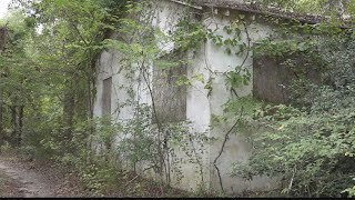 Revitalizing a Newberry neighborhood