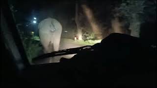 Elephant attack Forest vechile near Gudalur o valley