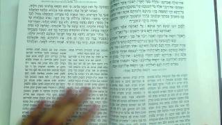 WSLIBRARY.NET - סידור עם משנת חסידים - Sidur with Mishnat Hassidim [1062]