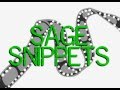 Sage Snippets