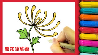 菊花简笔画，简单又漂亮 How To Draw Autumn Chrysanthemum Step by Step