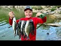 Crappie Fishing from the Bank!  Catch, Clean, and Cook!