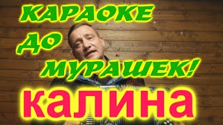 Караоке ДО МУРАШЕК! КАЛИНА!