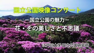 国立公園の魅力2「花・その美しさと不思議」