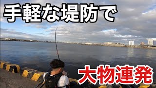 大阪湾【えび撒き釣り】手軽な堤防でスズキとチヌ（汐見埠頭 砂上げ場）潮見表の使い方