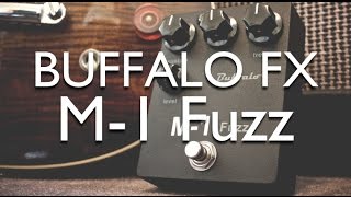 Buffalo FX M-1 review